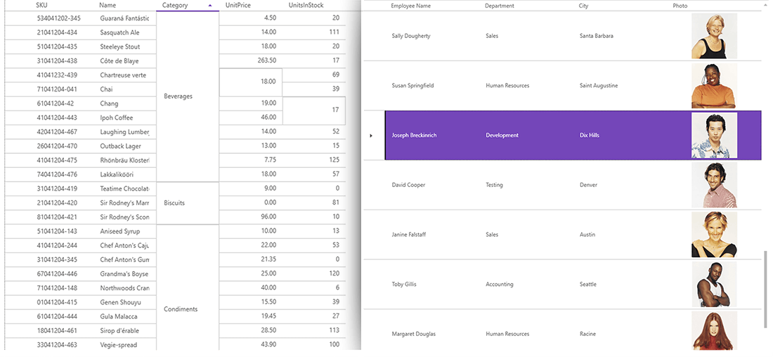 WPF Data Grid